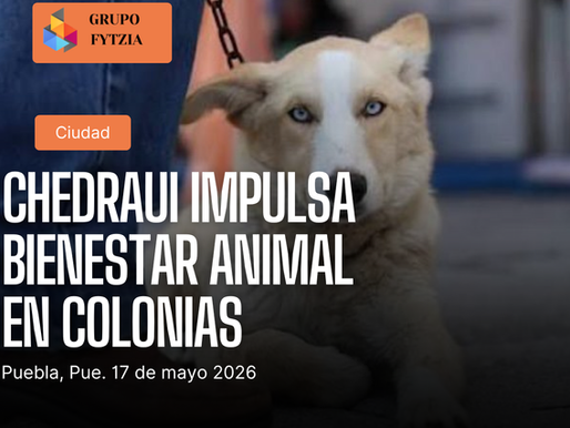 Pepe Chedraui impulsa jornadas de bienestar animal en colonias de Puebla capital