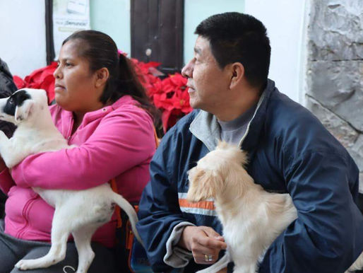 Atlixco realizará jornadas gratuitas de servicios veterinarios en colonias del municipio