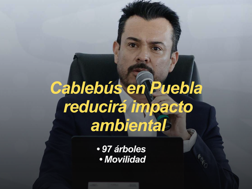 Proyecto de Cablebús en Puebla prevé trasplante de 97 árboles y sistema de pago unificado