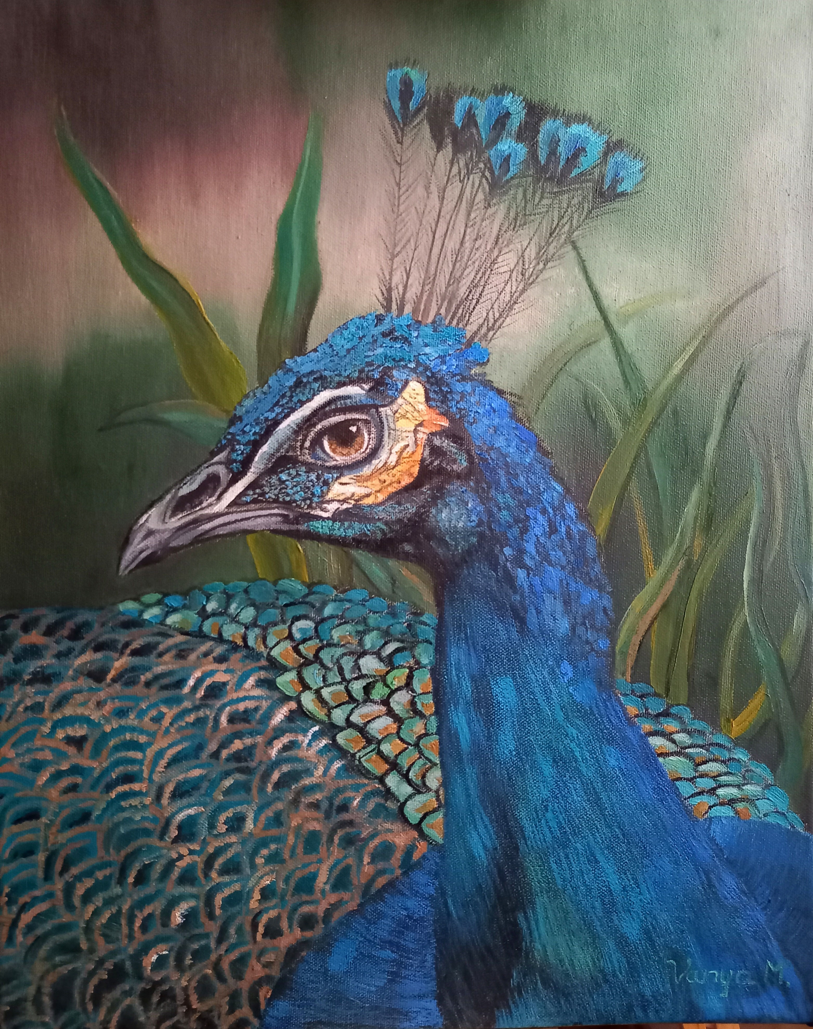 Peacock