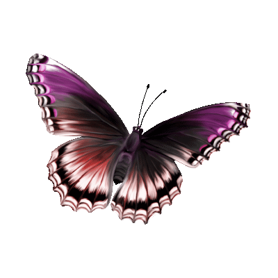 ZealousArtisticAgama-max-1mb.gif