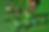 Screenshot 2026-06-26 at 1.14.52 PM.png