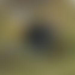 2022 J Day - Round 15