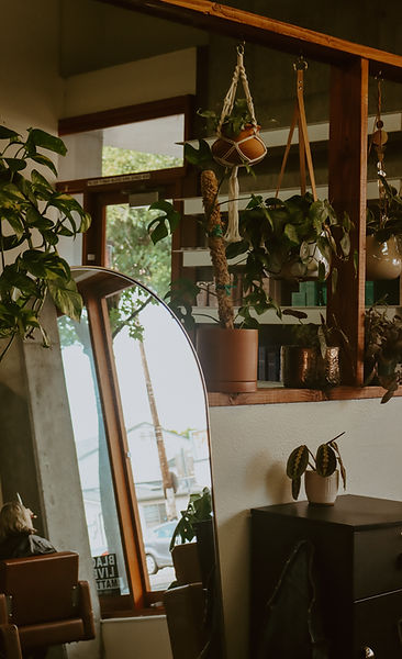 | nicole renee | southeast portland hair salon | women-owned business
