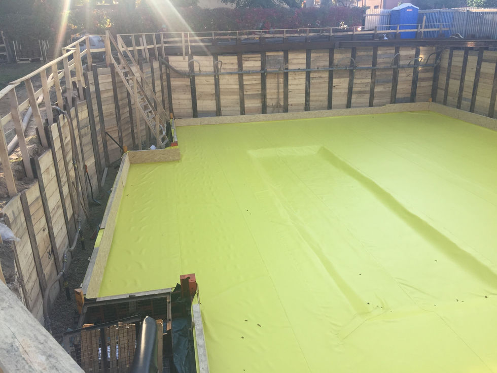 WhatsApp Image 2026-02-03 at 12.01.4.jpeg