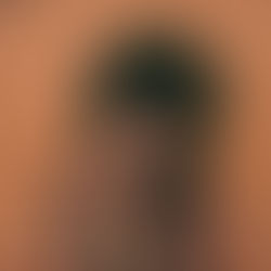 NEW ALBUM: Shae Universe - Love's Letter