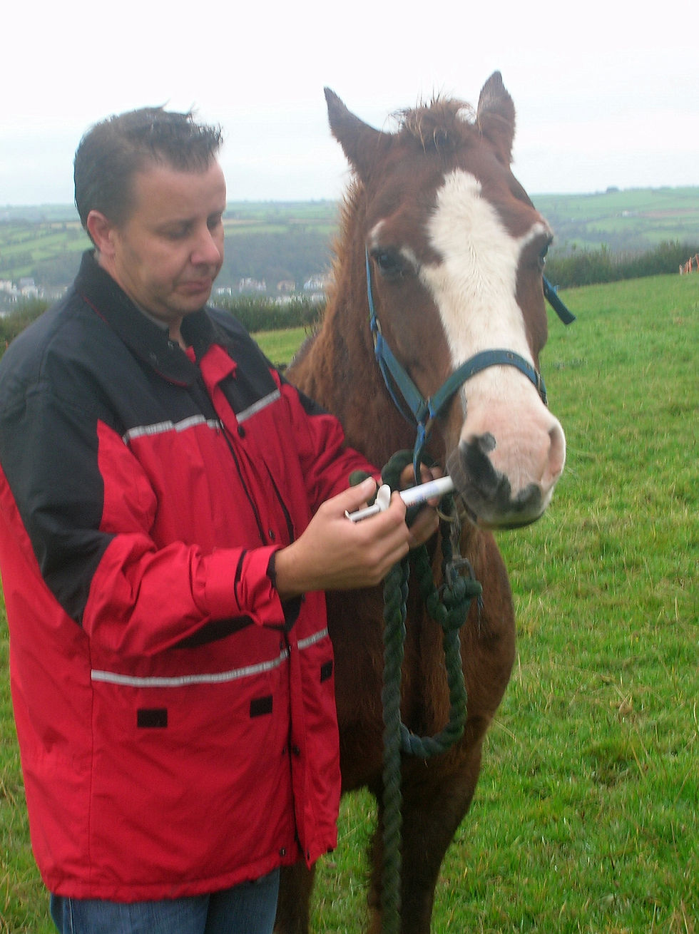 Man giving wormer treatment to a horse