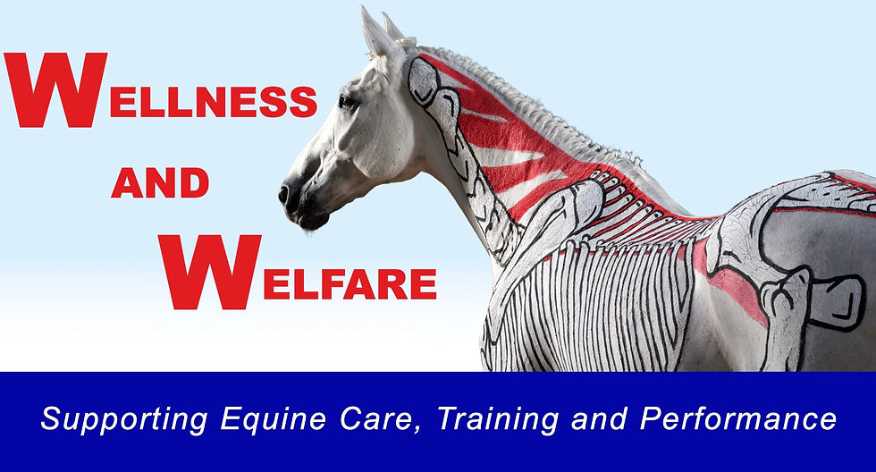 Horses Inside Out Conference 2027: Wellness & Welfare banner