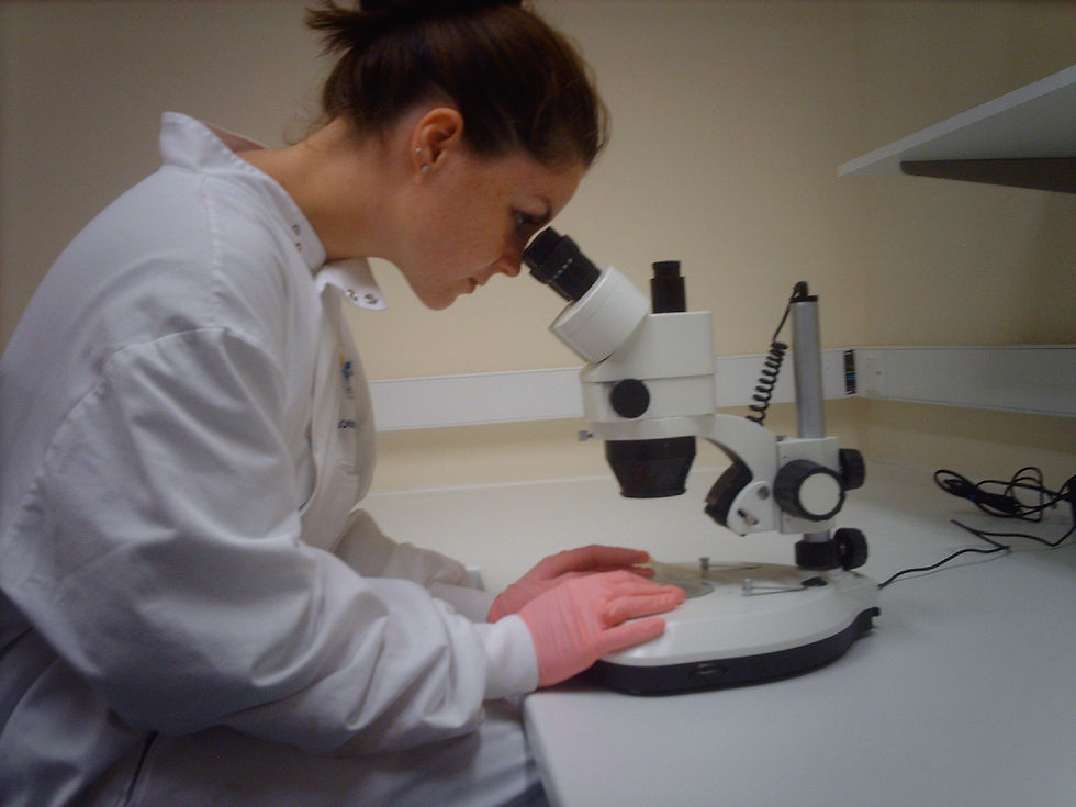 scientist looking through a microscope