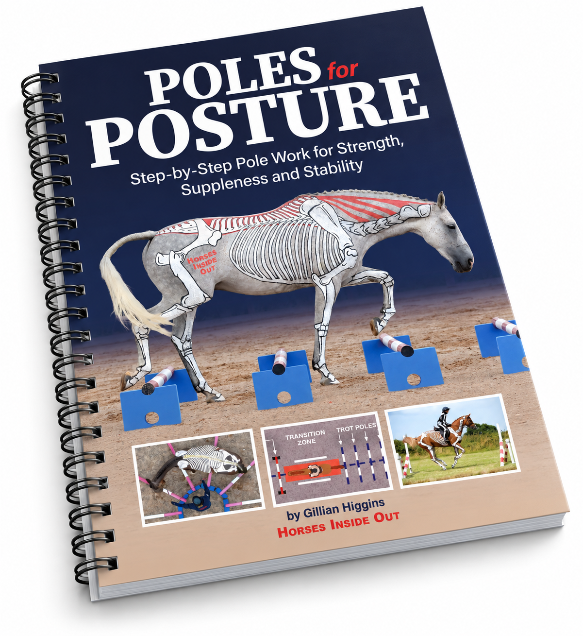 Poles for Posture Book