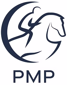 Performance Mentoring Programme