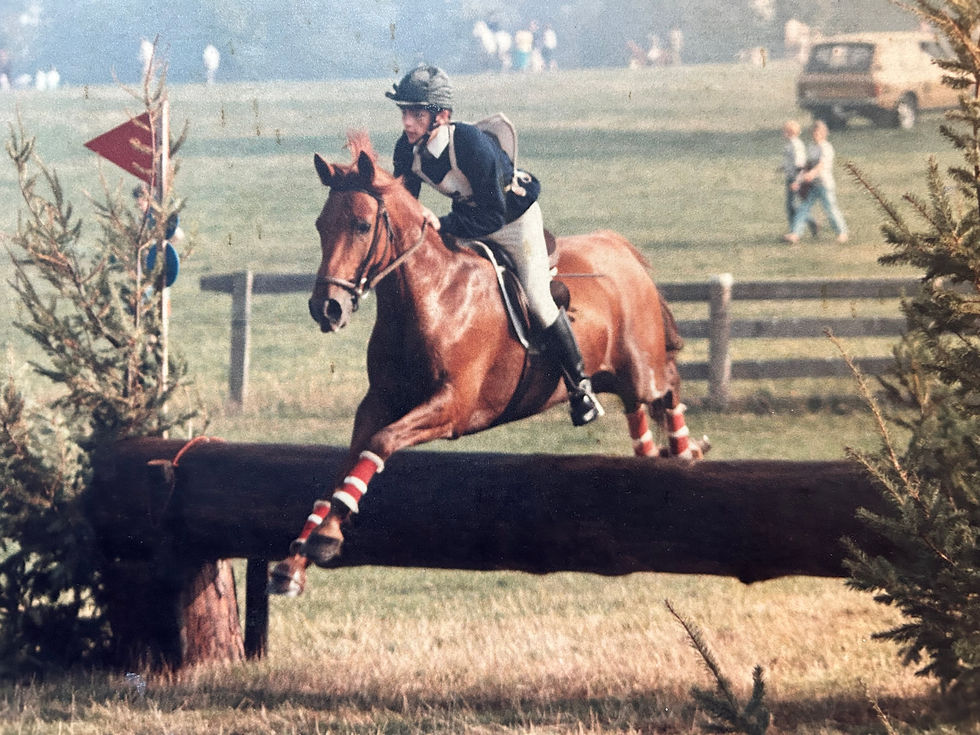 chestnut horse competing
