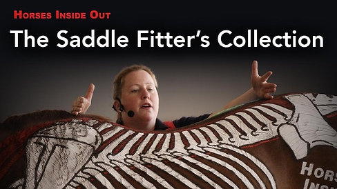 The Saddle Fitter's Collection