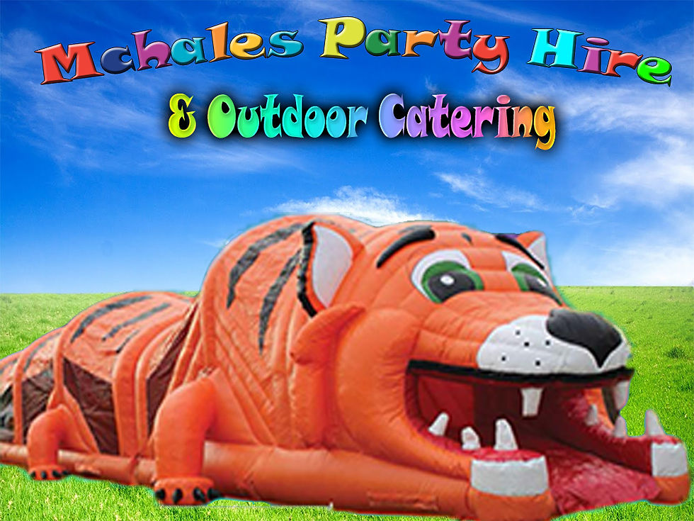 Mchales Party Hire