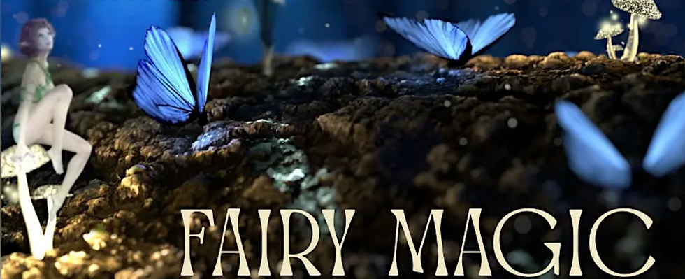 Ms. Rae's School of Magic for Young Witches and Wizards: Fairy Magic