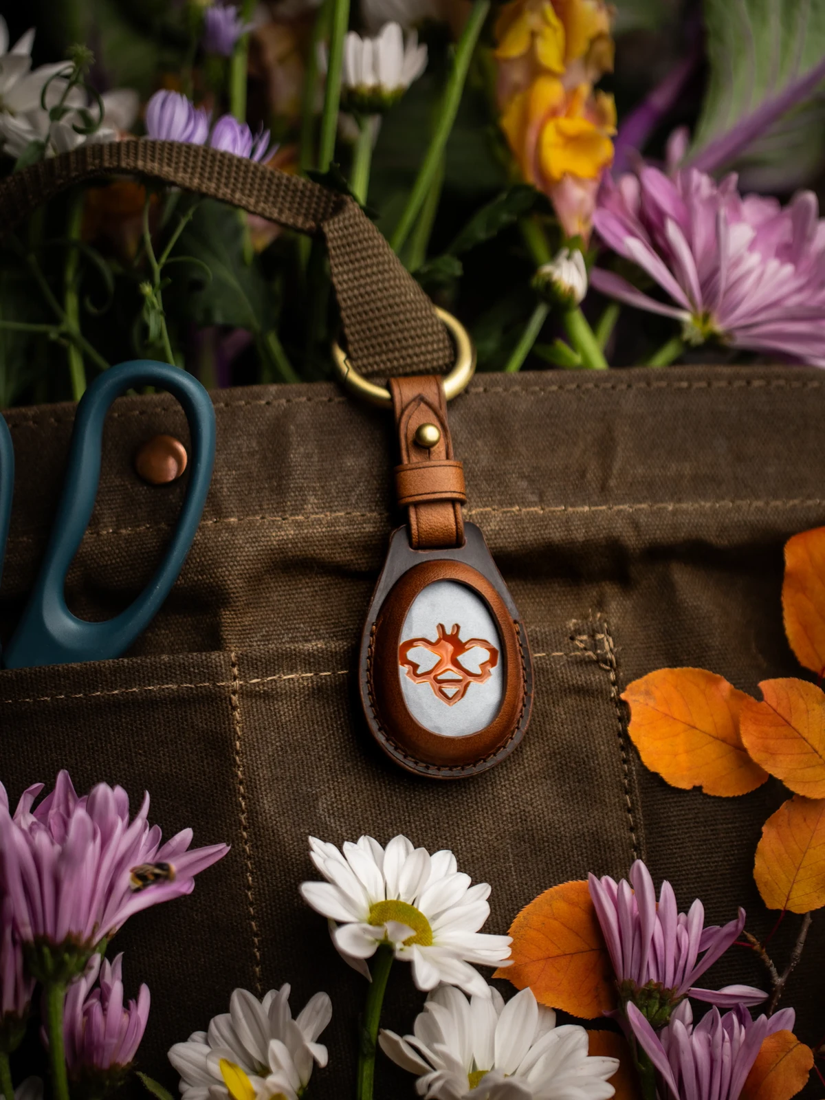 SwitchTransparent copy.webp