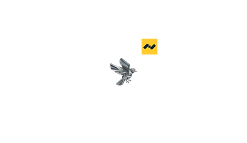18.png