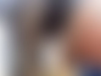 Galgos Del Sol - Volunteering