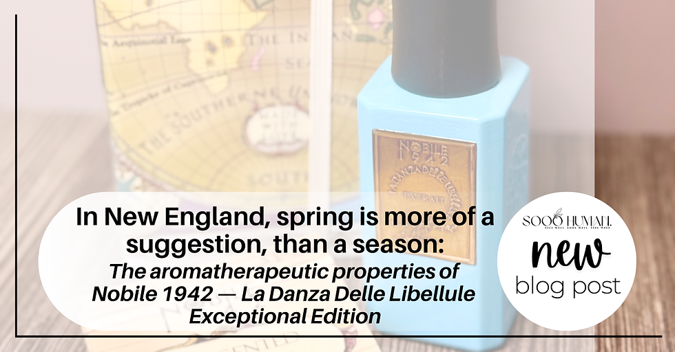 In New England, Spring is more of a suggestion, than a season.