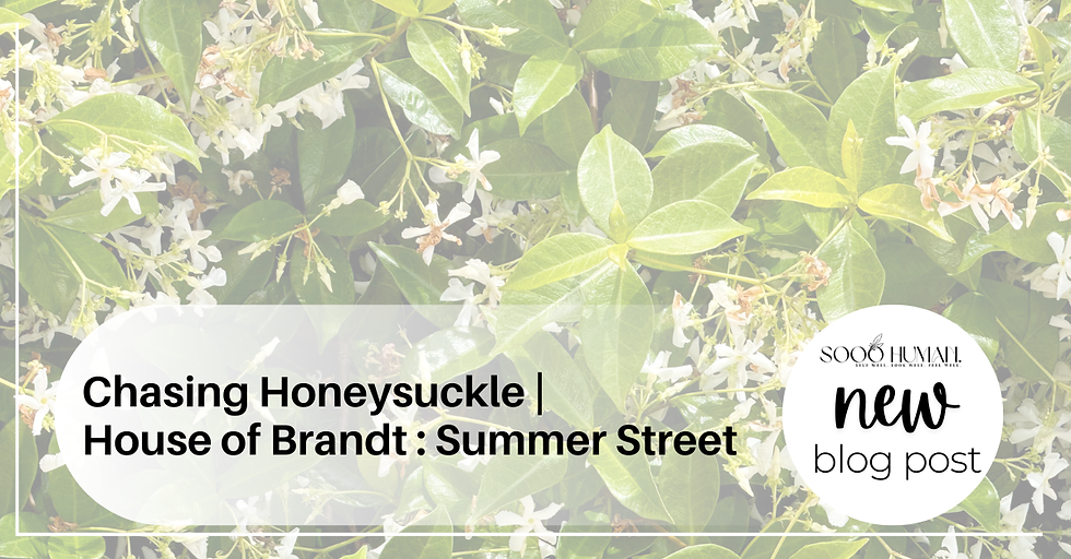 Chasing Honeysuckle — and Finally Finding It