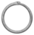 Illustration of an Ouroboros. (Image from Adobe Stock)