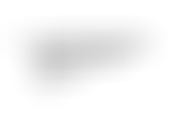 brain makes decision essay cover