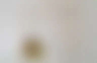 Captivating Monochromatic Artwork: From Galleries to Your Space