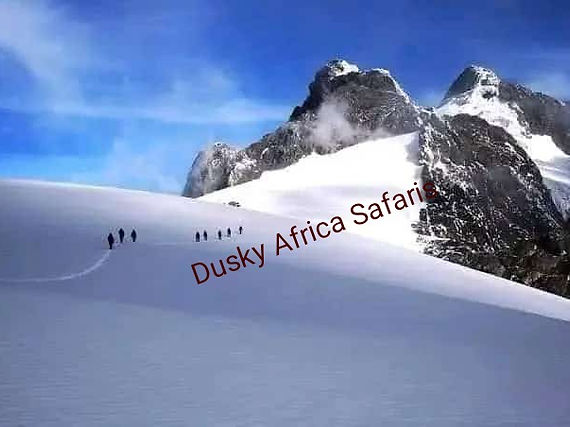 Mt. Rwenzori snow cap.jpeg
