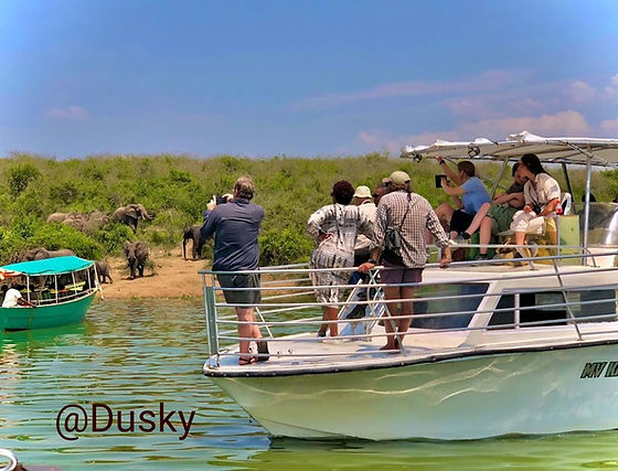 Dusky boat rides.jpeg