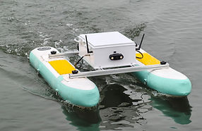 BX-USV II 