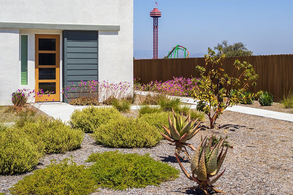 Xeriscaping front lawn
