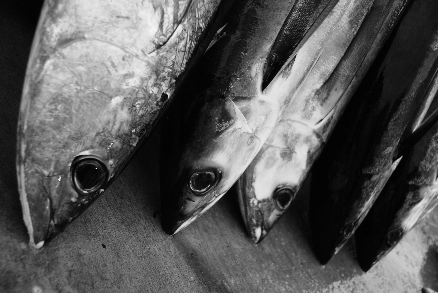 Hammer Down Guide Service