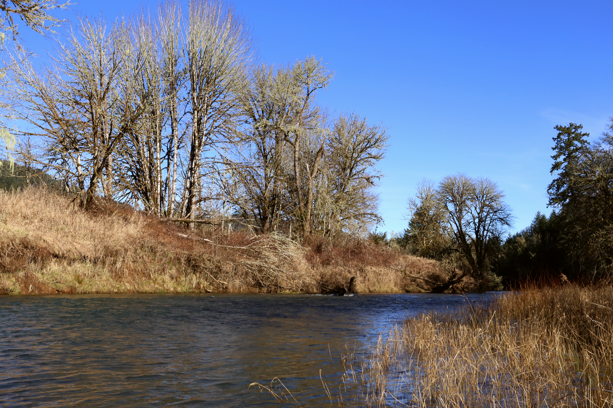 Hammer Down Guide Service