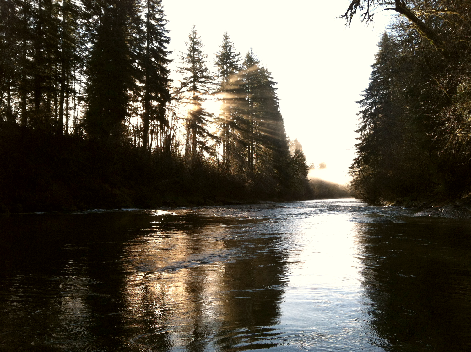 Hammer Down Guide Service