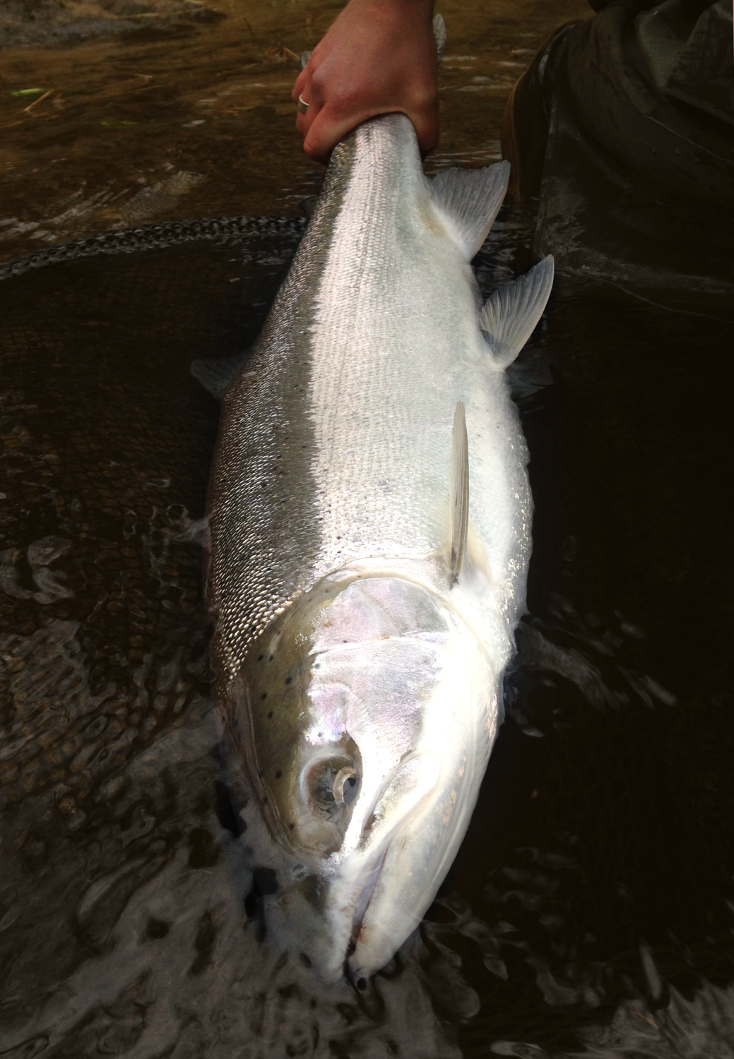 Hammer Down Guide Service