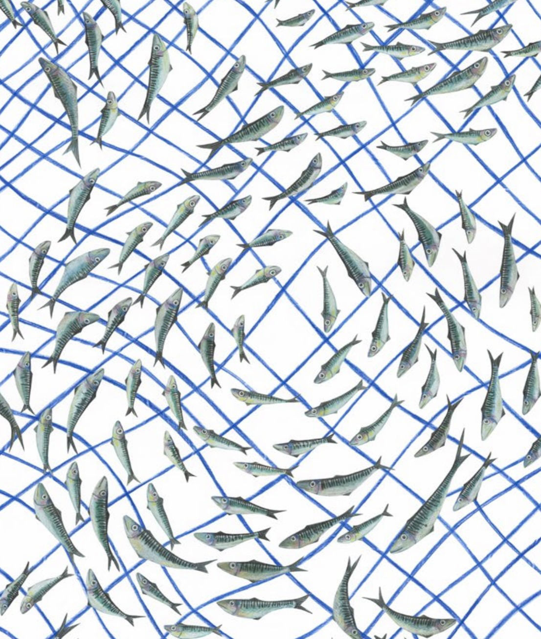 Mackerel catch - tea towel  COMING SOON