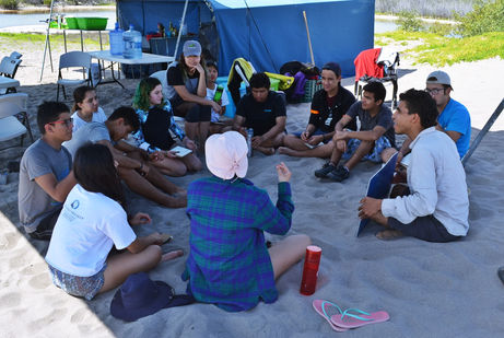 A Living and Connected Education: Progress of the ‘Knowledge from the Territory’ Project