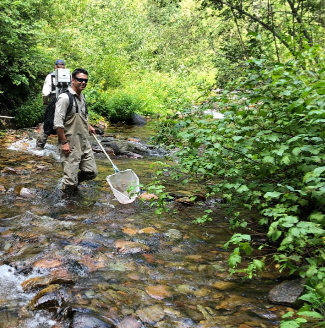 Rad Watkins conducting an electroshocking fish survey with FWP. Photo credit: Missoula Conservation District