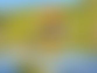 Inspiration japonaise et naissance d’un paysage intérieur