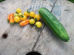 Allotment update...
