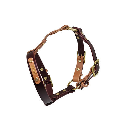 Y-shape harness 3.jpg