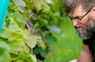Portrait – Les Chemins de l'Arkose