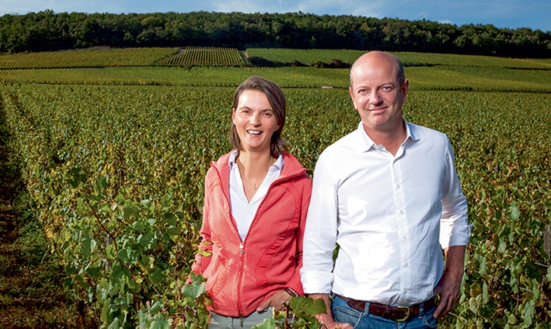 Portrait – Domaine Chandon de Briailles