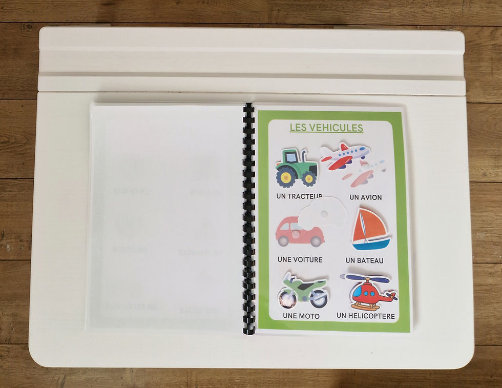 Miniature : Mon premier imagier