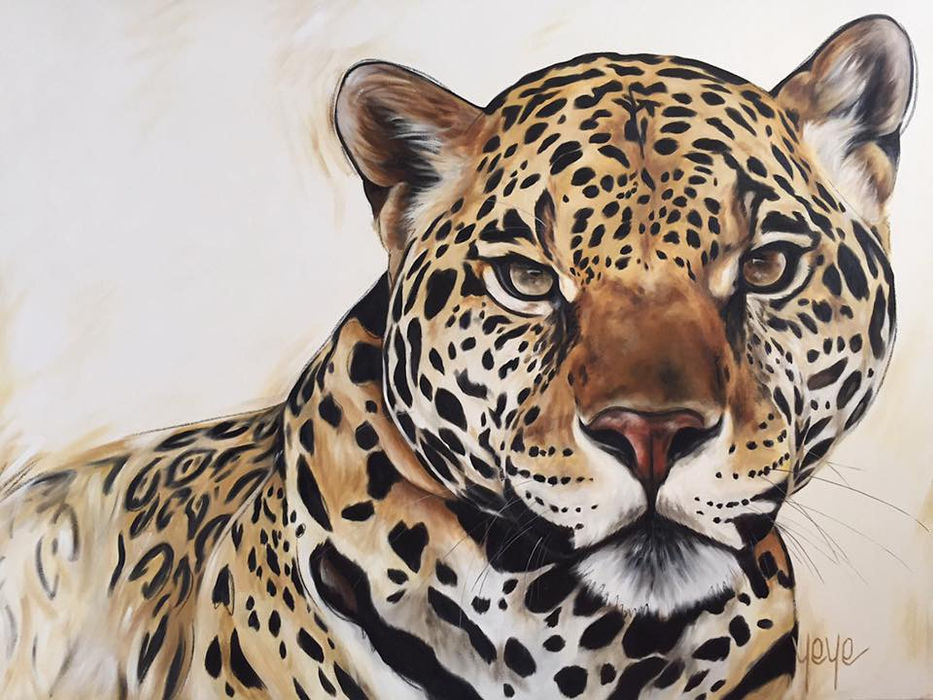 135 x 100cm