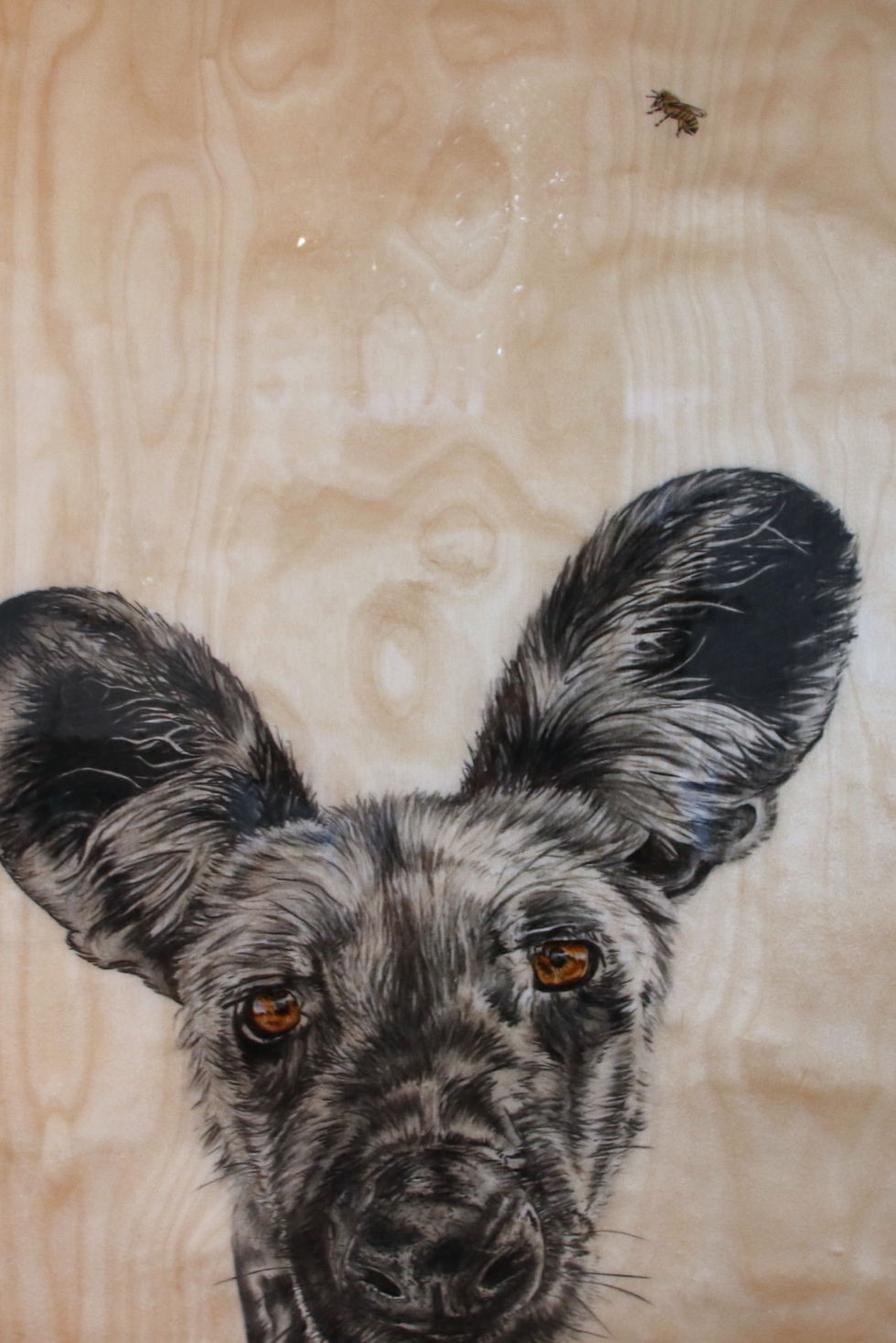 Wild Dog / Mixed Media / 24x36 / SOLD