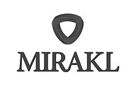 Mirakl_500px.jpg
