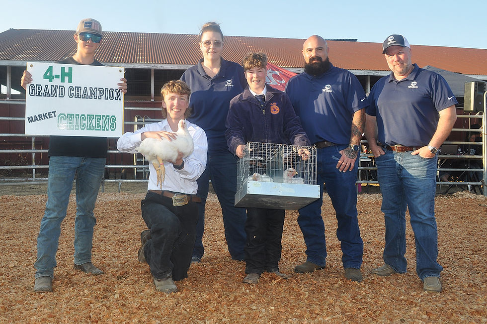 4-H Chickens 2024.JPG