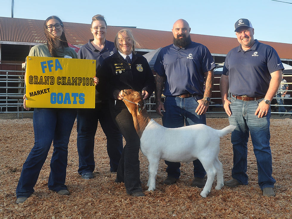 FFA Goat 2024.JPG