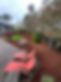 469121013_122148077774300924_6881712178538354968_n.jpg
